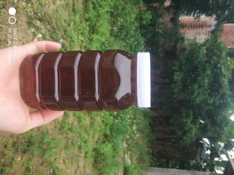 广西平南石硖龙眼蜜高浓度带有龙眼花香味