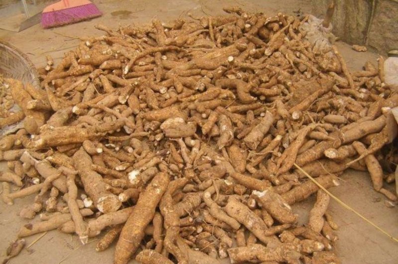 瓜蒌根，产地四川，质优价实，品质保证，药典标准，道地良药