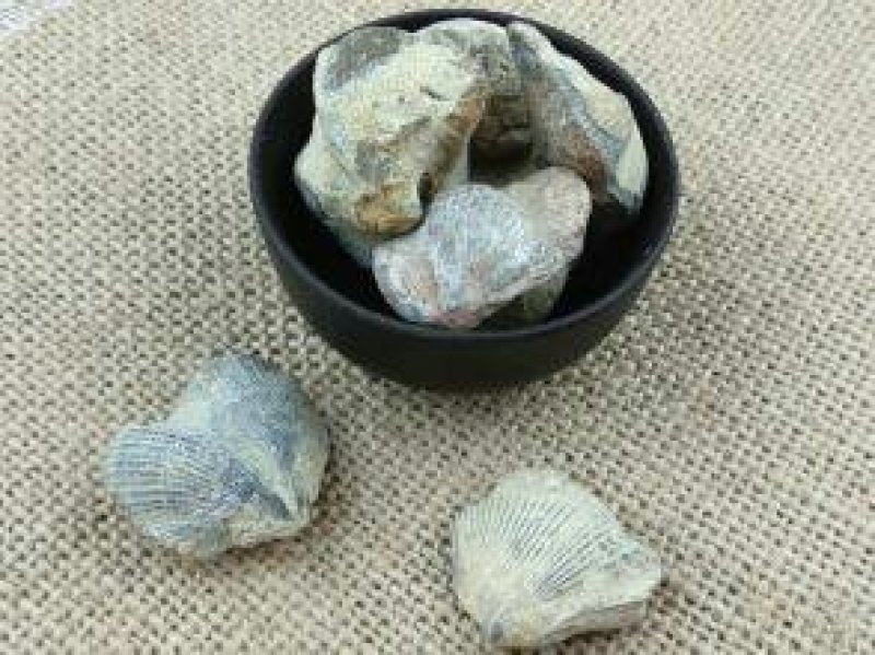 石燕产地直供支持线上交易可搭配多品种采购大货联系客服