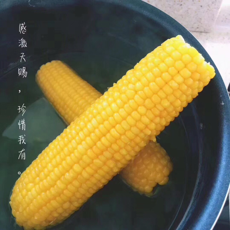 真空糯玉米，高温灭菌易于储存运输