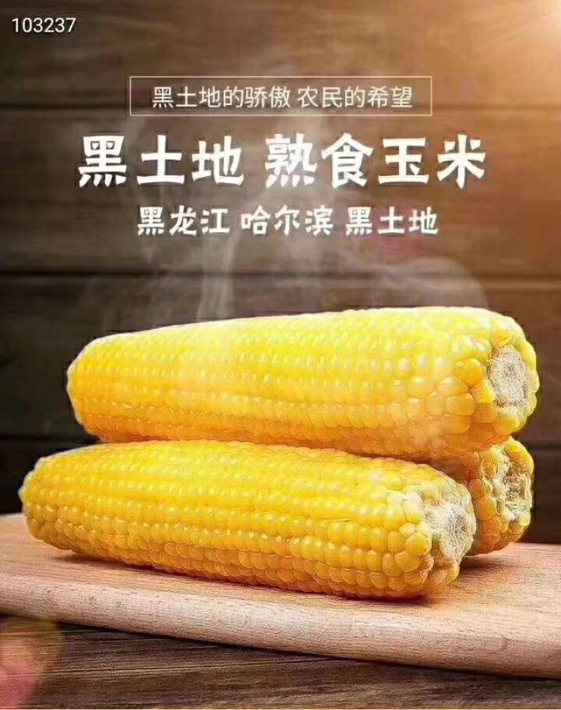 真空糯玉米，高温灭菌易于储存运输