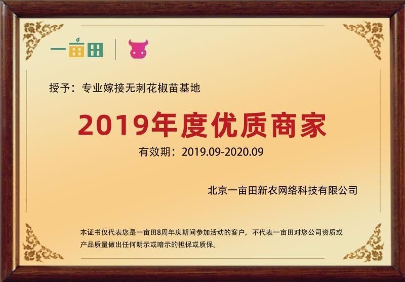 [荐]橄榄树苗，南北方皆可种植包成活产地直供免费技术指导