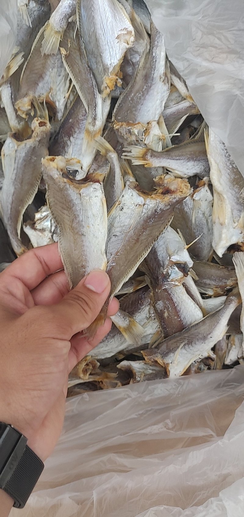 小黄花鱼，现货实拍，质量保证，价格美丽