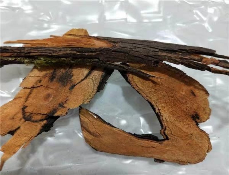 紫刺梨根，产地四川直供，质优价实，品质保证，药典标准