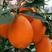 纽荷尔脐橙秭归纽荷尔脐橙果大皮薄纯甜果园现摘现发保质保量
