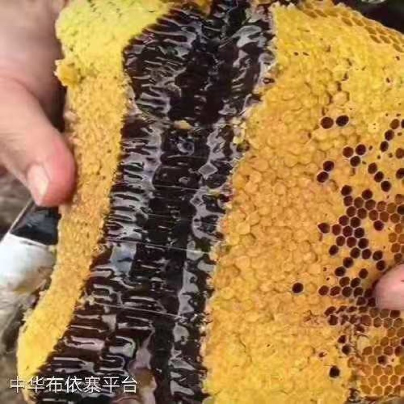 黑蜂蜜