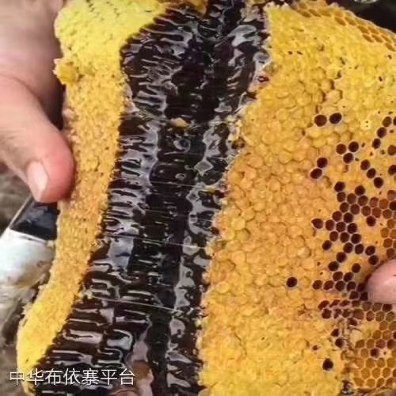 黑蜂蜜