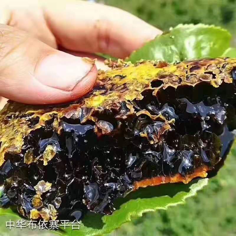 黑蜂蜜