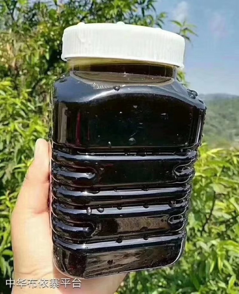 黑蜂蜜