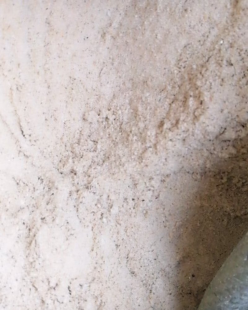米糠
