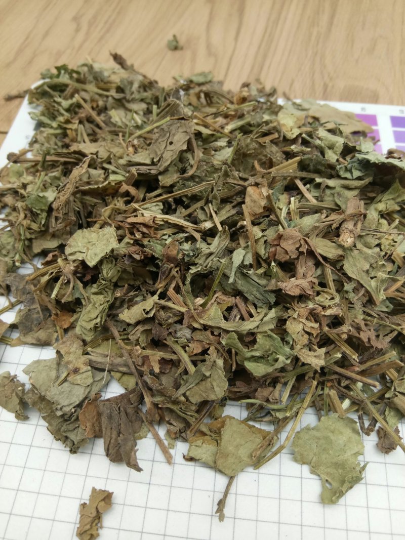 鱼腥草产地直供支持线上交易各种规格接受订单