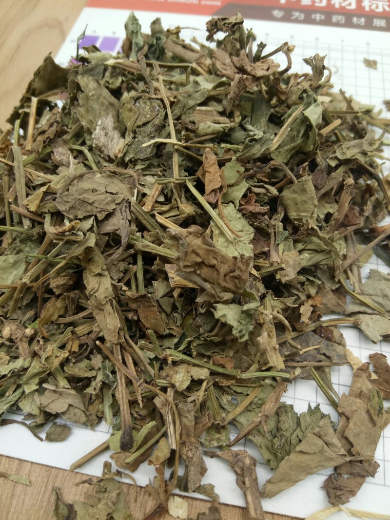 鱼腥草产地直供支持线上交易各种规格接受订单