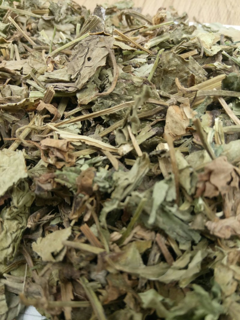 鱼腥草产地直供支持线上交易各种规格接受订单