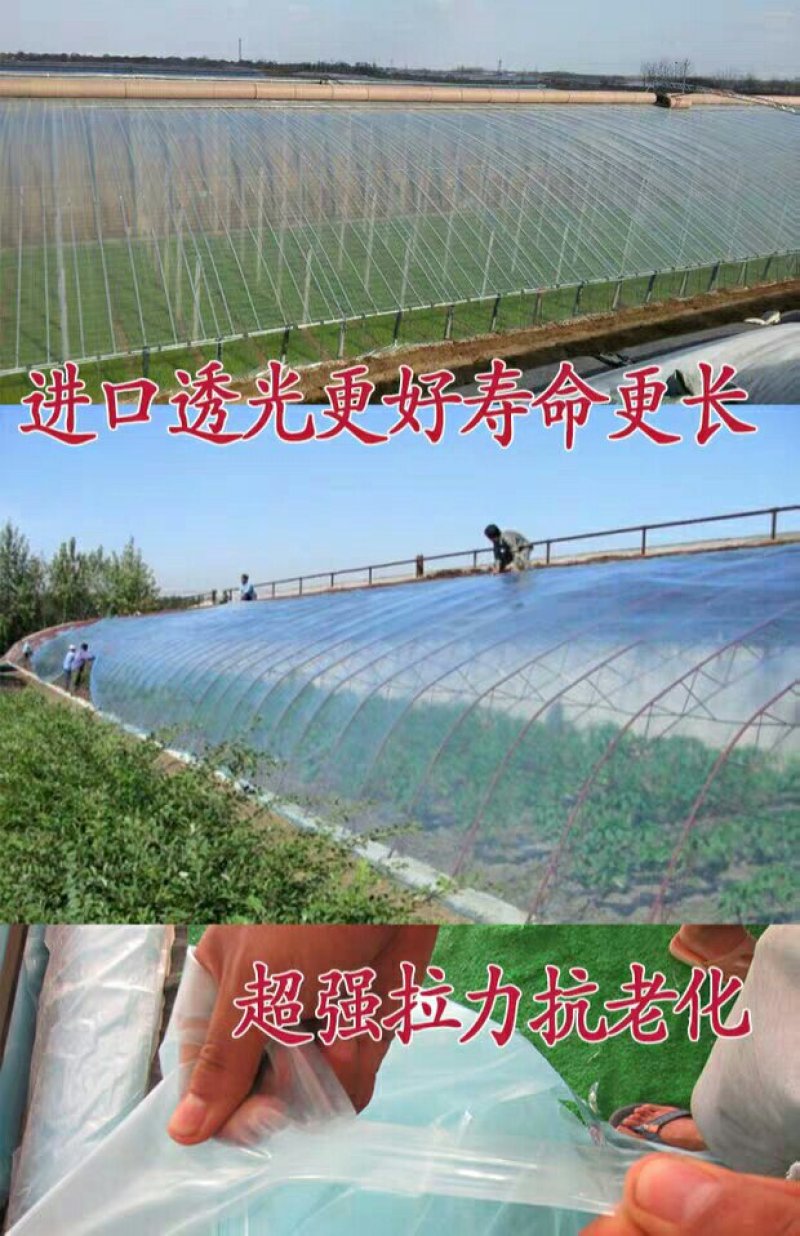 进口大棚膜PO蔬菜无滴保温透明塑料薄膜布防晒加厚养殖隔热
