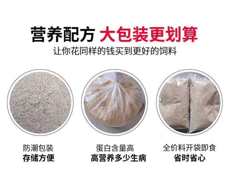 小鹌鹑饲料育雏料