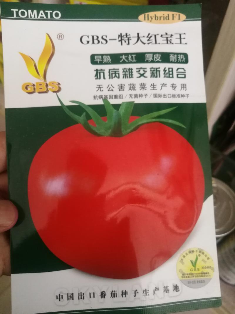 番茄种子
