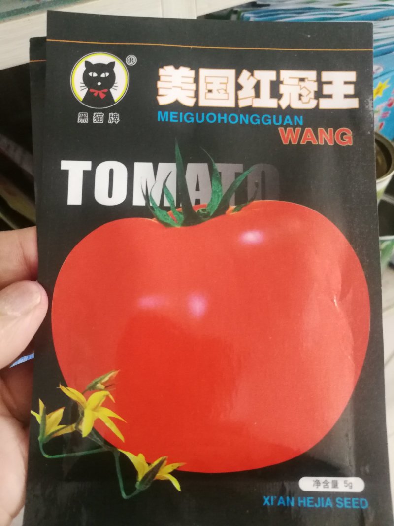 番茄种子