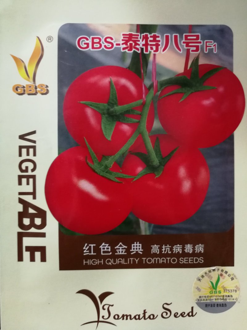 番茄种子
