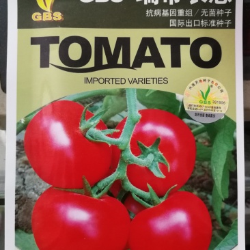 番茄种子