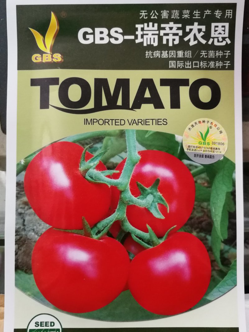 番茄种子