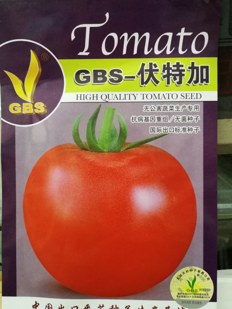 番茄种子