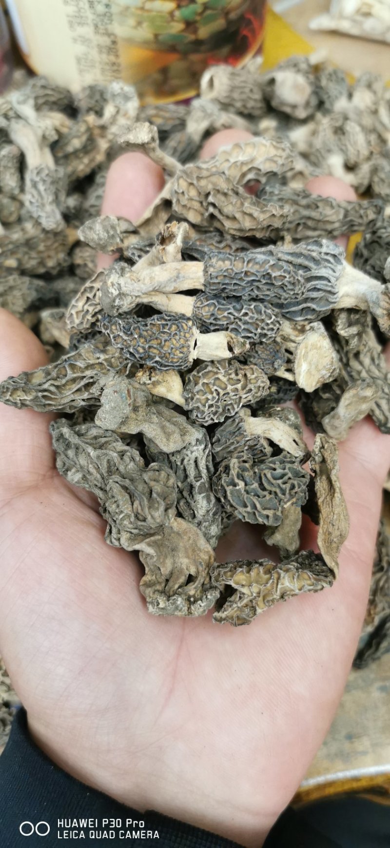 四川野生羊肚菌自然晒干。一分钱一分货假一赔十