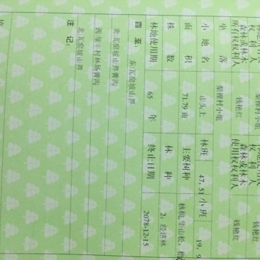 经济林地出售
