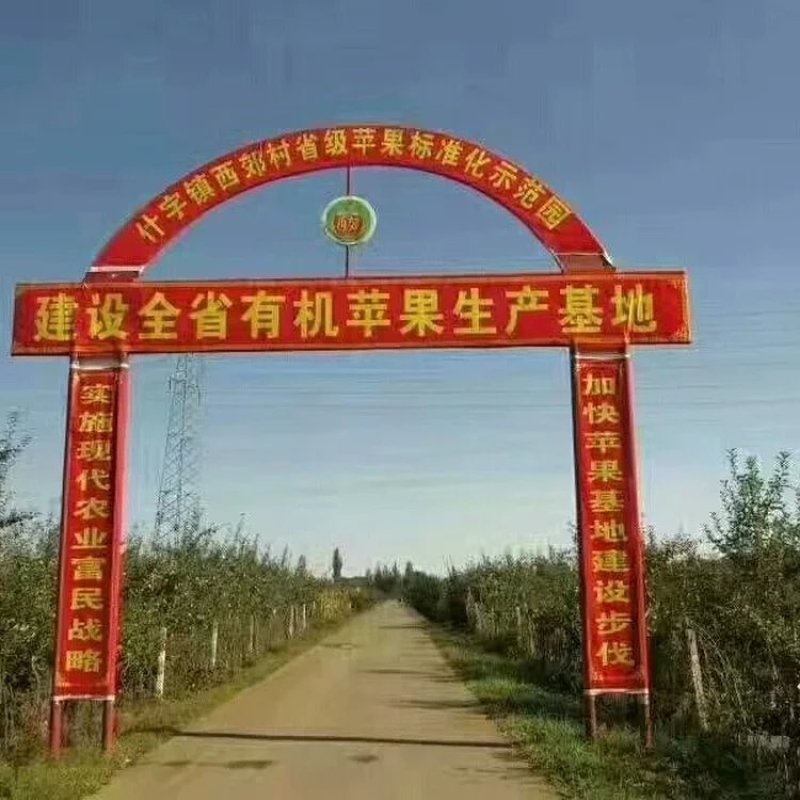 产自黄土高原的优质有机套袋红富士苹果，***绿色食品