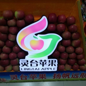 产自黄土高原的优质有机套袋红富士苹果，***绿色食品