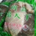 毛肚，整毛肚，边料，叶片种类全