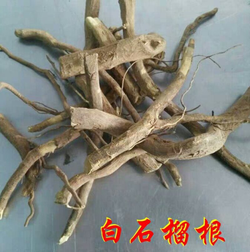 白石榴根石榴花产地直供支持线上交易可搭配多品种