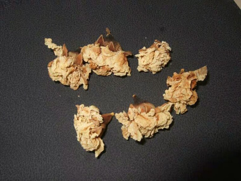 石榴花白石榴花产地直供支持线上交易可搭配多品种采购