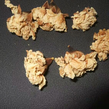 石榴花白石榴花产地直供支持线上交易可搭配多品种采购