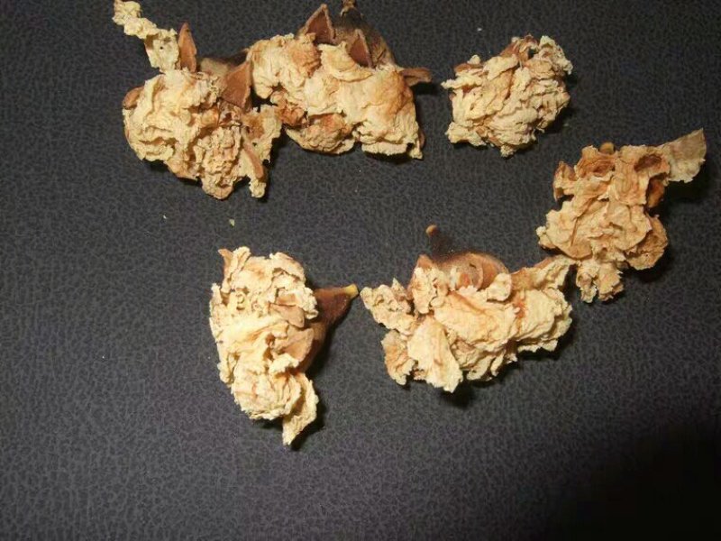石榴花白石榴花产地直供支持线上交易可搭配多品种采购