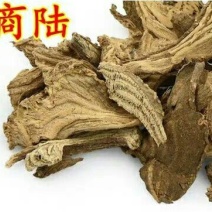 商陆产地直供支持线上交易可搭配多品种采购大货联系客服