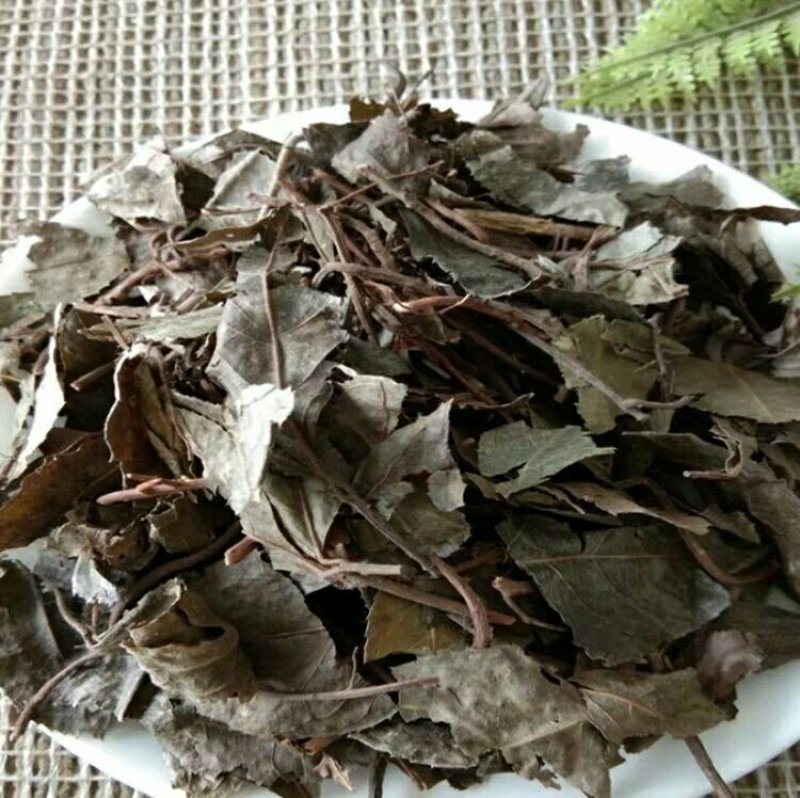 平地木矮地茶产地直供支持线上交易可搭配多品种采购