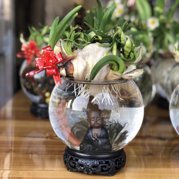 漳州水仙花水养植物雕刻礼盒装