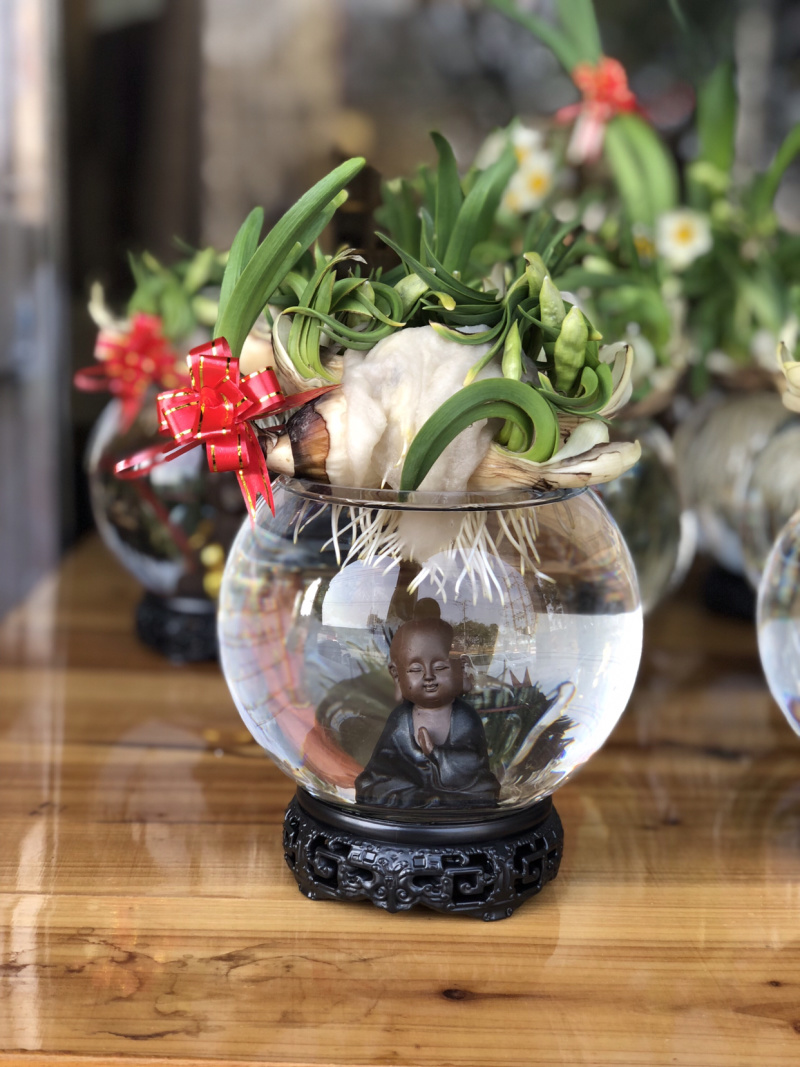 漳州水仙花水养植物雕刻礼盒装