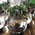 漳州水仙花水养植物雕刻礼盒装