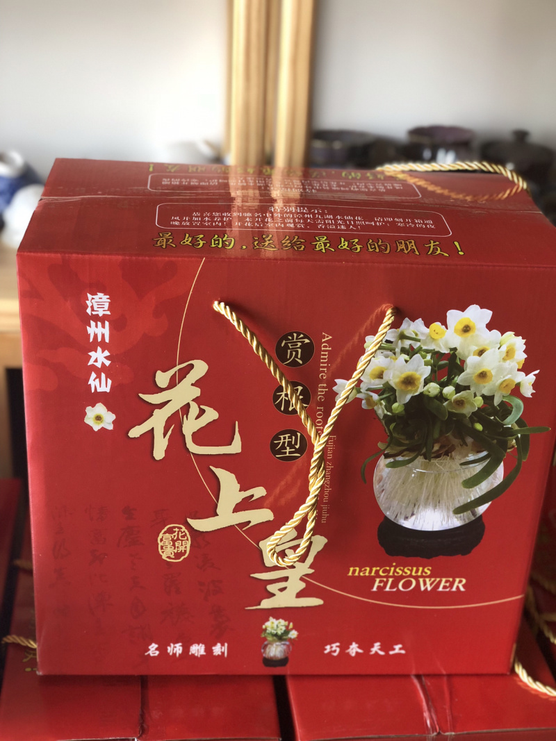 漳州水仙花水养植物雕刻礼盒装