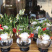 漳州水仙花水养植物雕刻礼盒装