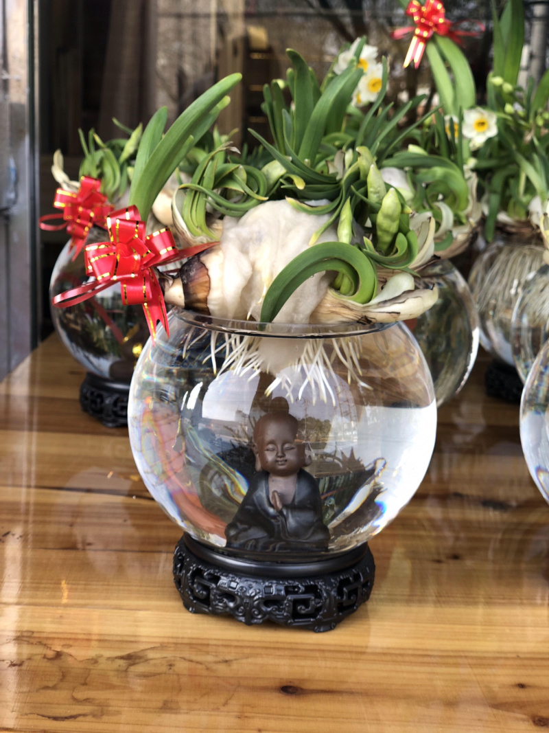 漳州水仙花水养植物雕刻礼盒装