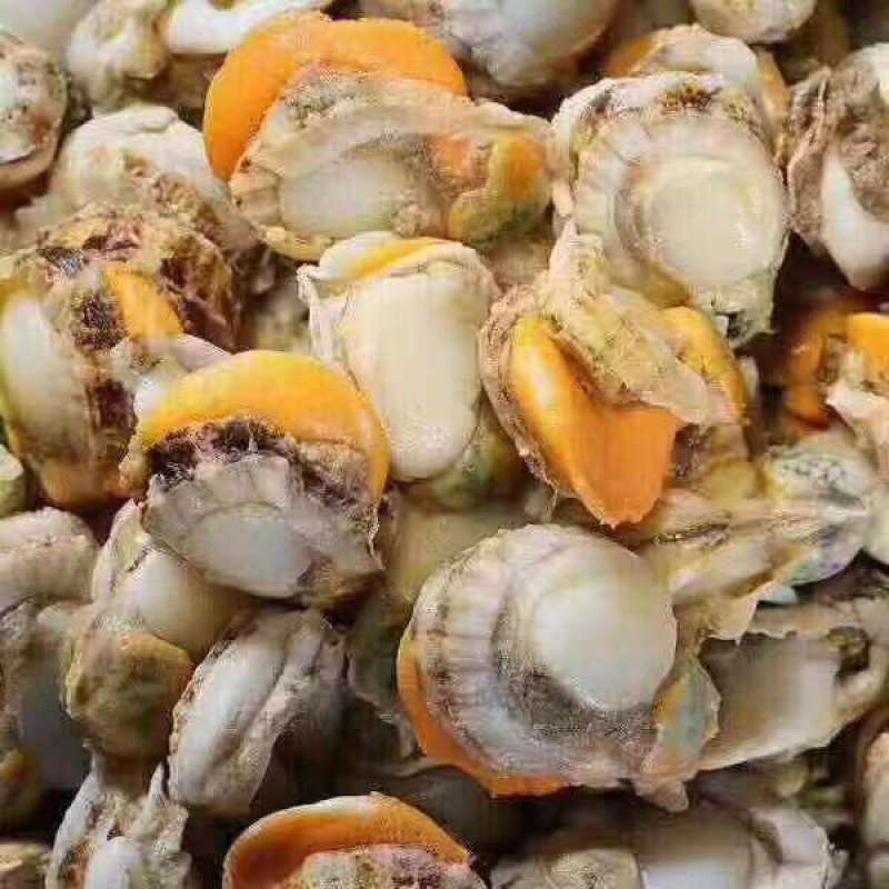 新鲜上岸，鲜活扇贝，现剥速冻现发
