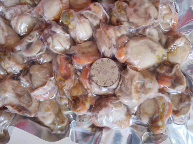 新鲜上岸，鲜活扇贝，现剥速冻现发