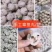 [隆记]纯手工制作的美味章鱼小丸子