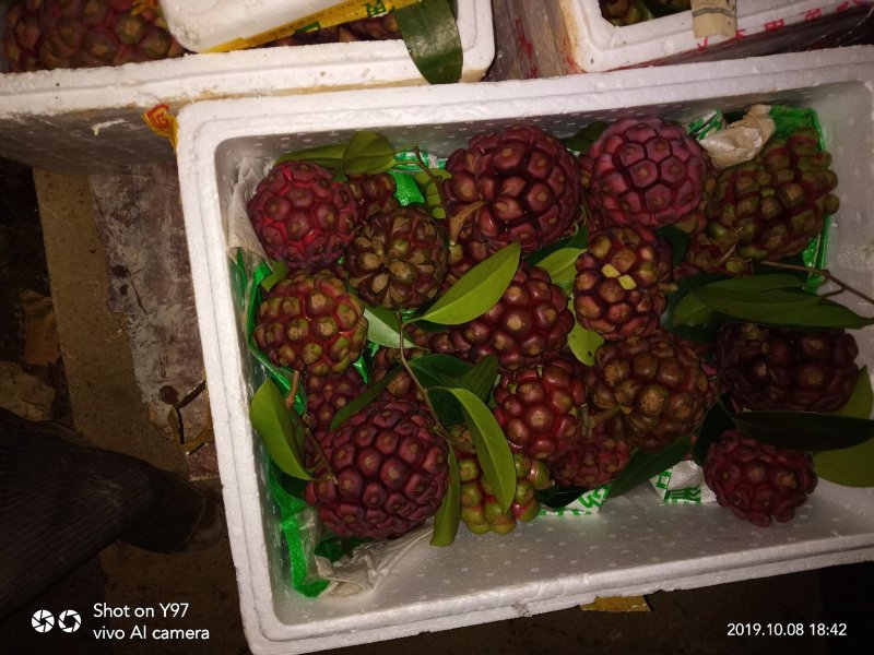 布福娜果