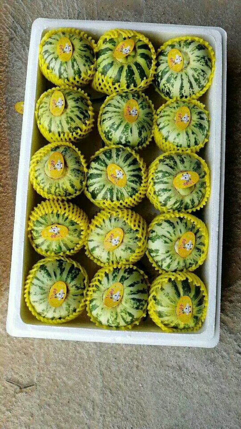 山东莘县花蕾甜瓜对接超市餐饮企业货源充足供应