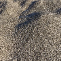 赤峰地区葵花子