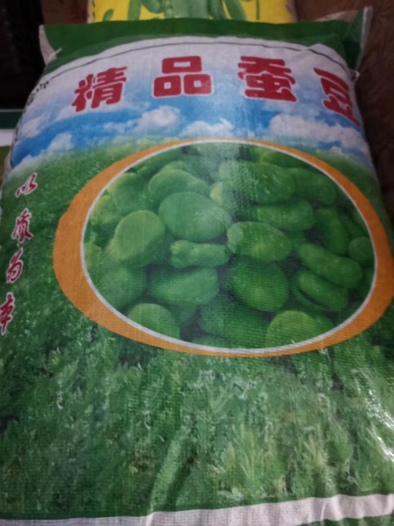 厂家直销需要大量蚕豆种子与我联系