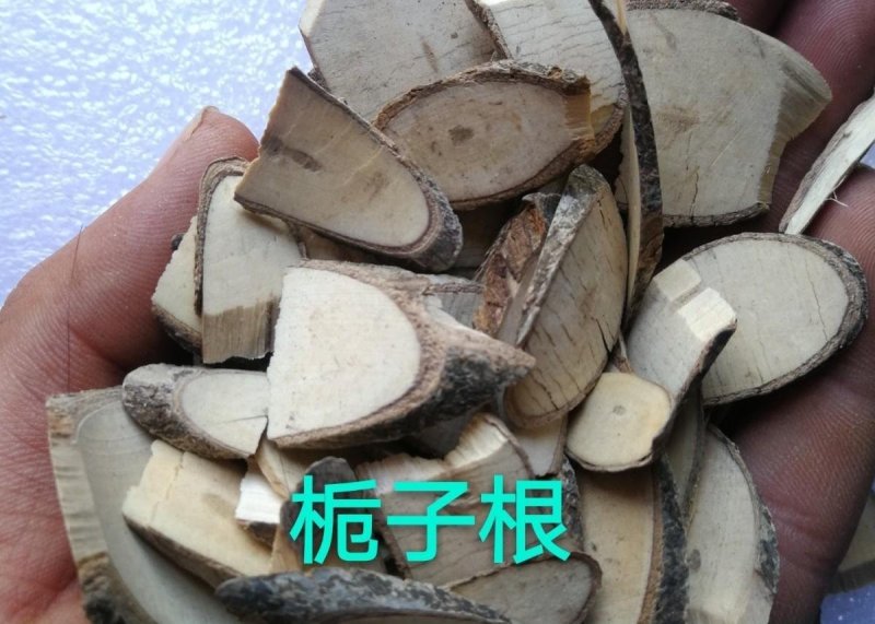 栀子根,产地江西，质优价实，品质保证，药典标准道地良药